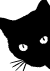 image of black cat head