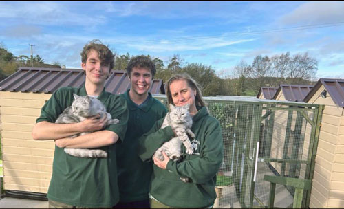 sons with cats in Priderock Boarding Cattery